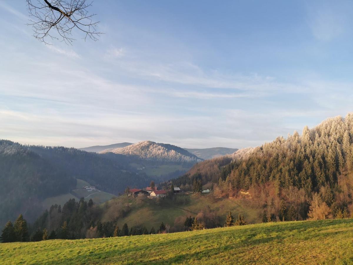 Villa Richterberg With Sauna & Hot Tub Slovenj Gradec Kültér fotó