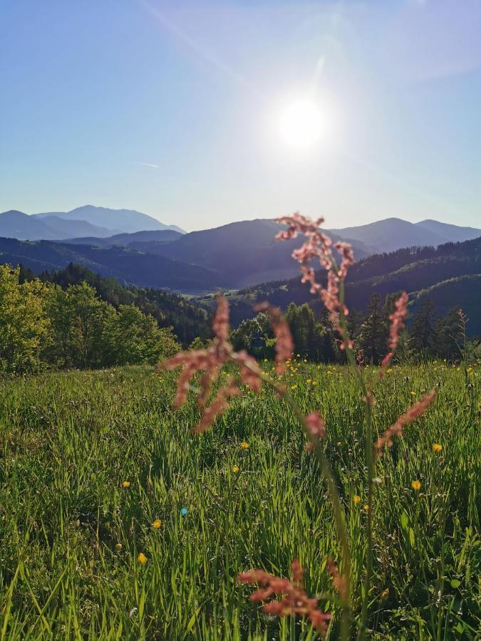 Villa Richterberg With Sauna & Hot Tub Slovenj Gradec Kültér fotó