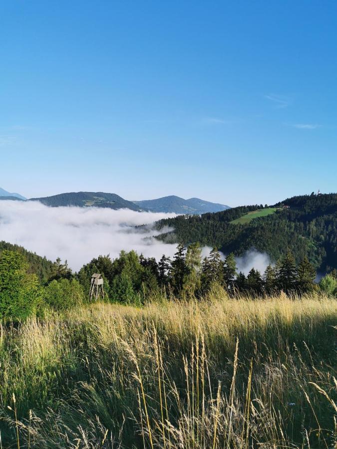 Villa Richterberg With Sauna & Hot Tub Slovenj Gradec Kültér fotó