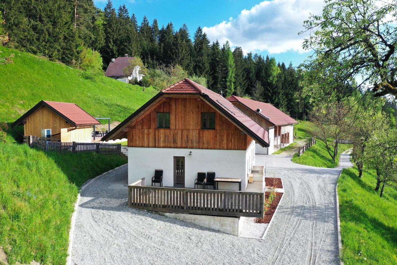 Villa Richterberg With Sauna & Hot Tub Slovenj Gradec Kültér fotó