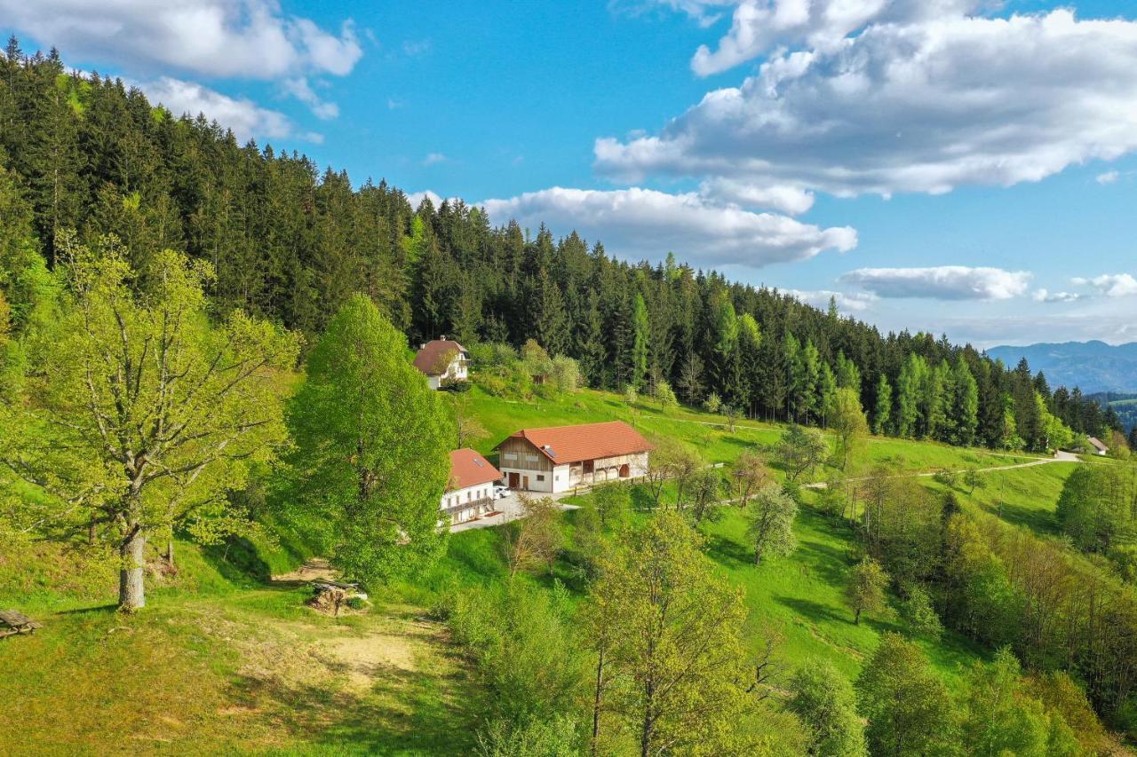 Villa Richterberg With Sauna & Hot Tub Slovenj Gradec Kültér fotó