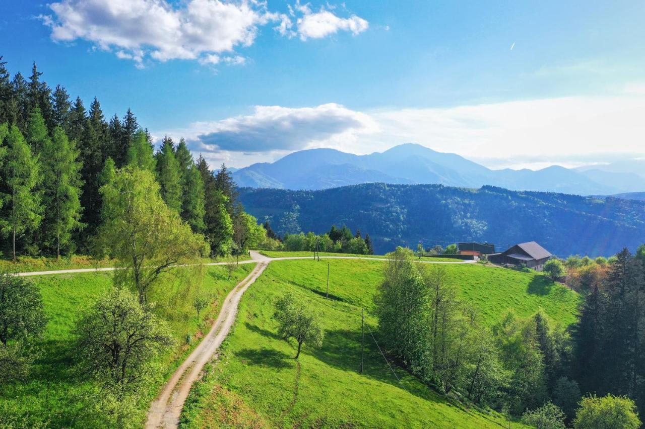 Villa Richterberg With Sauna & Hot Tub Slovenj Gradec Kültér fotó