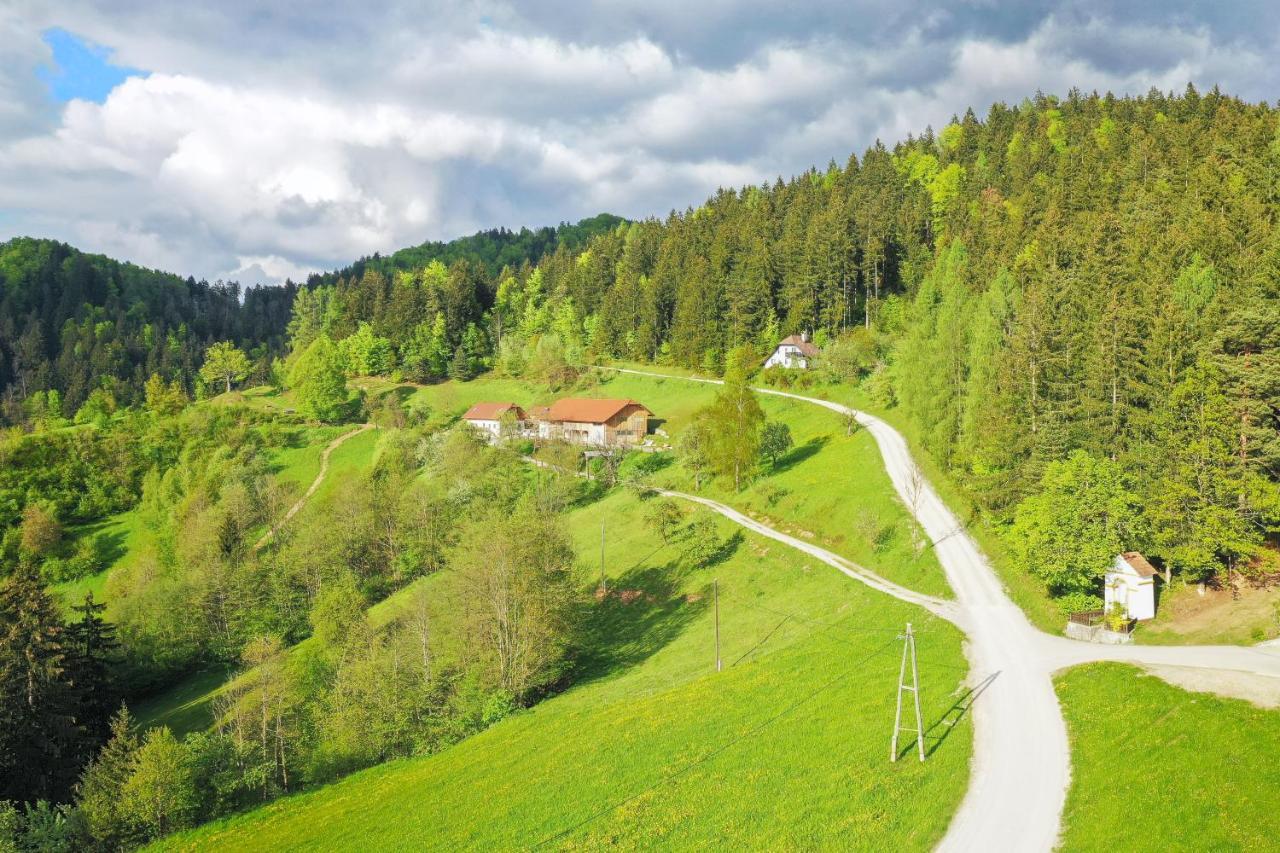 Villa Richterberg With Sauna & Hot Tub Slovenj Gradec Kültér fotó