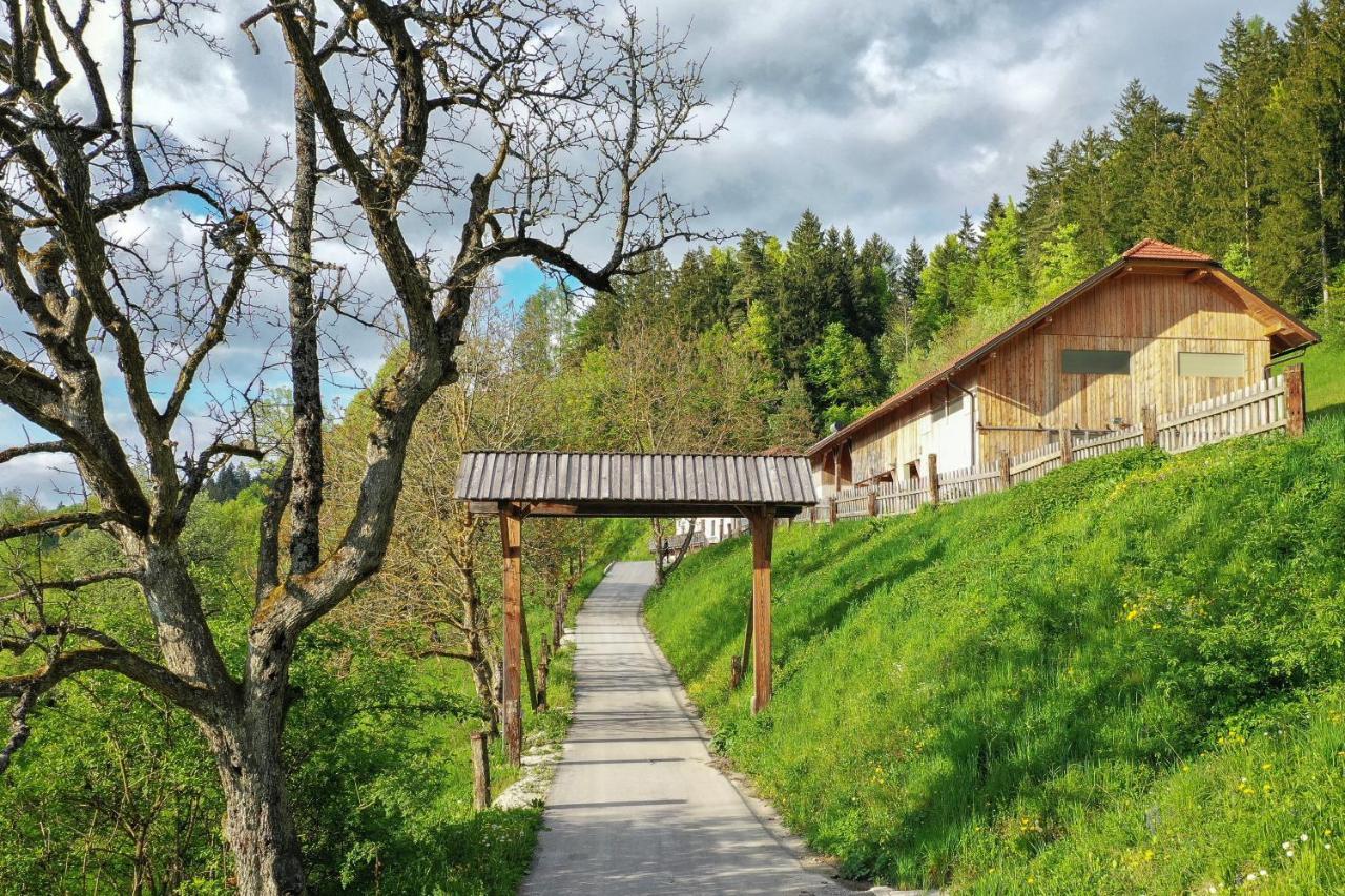 Villa Richterberg With Sauna & Hot Tub Slovenj Gradec Kültér fotó